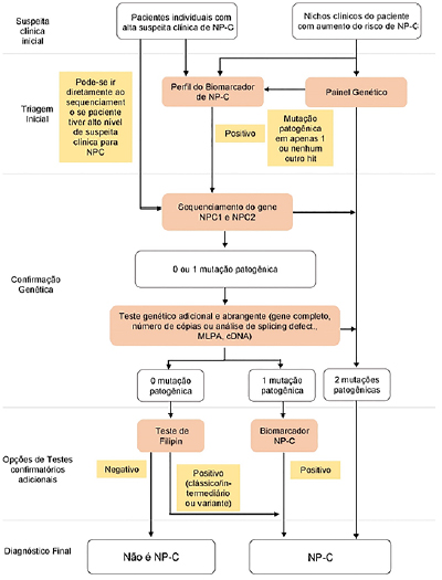 Doença de Niemann-Pick - Problemas de saúde infantil - Manual MSD